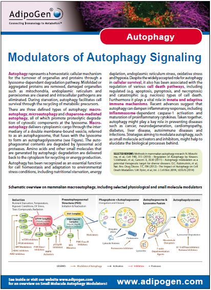 Autophagy Modulators Product Flyer 2014