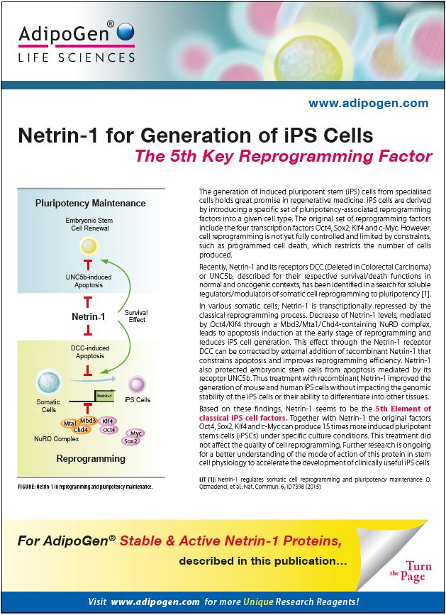 Netrin1- Product Flyer 2015