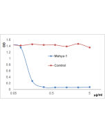 anti-APRIL (human), mAb (blocking) (Mahya-1) (preservative free)