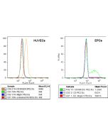 anti-VEGFR-2 (human), mAb (EIC)