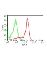 Cell surface flow cytometry analysis in human PBMC (Monocytes) using anti-TLR4 (human), mAb (ABM19C4) (APC) (AG-20T-0303C) at 0.5µg/10<sup>6</sup> cells. Green represents isotype control; red represents APC-conjugated anti-TLR4 (human), mAb (ABM19C4). 