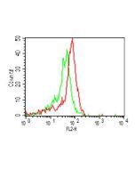Cell surface flow cytometry analysis in human PBMC (Monocytes) using anti-TLR4 (human), mAb (ABM19C4) (R-PE) (AG-20T-0303R) at 1µg/10<sup>6</sup> cells. Green represents isotype control; red represents R-PE-conjugated anti-TLR4 (human), mAb (ABM19C4). 