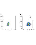 Detection of endogenous human ST2 with anti-ST2 (human), pAb (ATTO 488) (AG-25A-0058YTD). <b>Method:</b> Total PBMCs (Peripheral Blood Mononuclear Cells) were stained with anti-ST2 (human), pAb (ATTO 488) (1:100 in PBS + 2% FCS) (Figure B) or with no anti