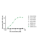 anti-SARS-CoV-2 N Protein, mAb (rec.) (AB83-C12)