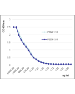 Angiopoietin-2 (human) (rec.) 