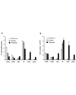 Influence of FLT3L treatment on lymphocyte subpopulations. <b>Method:</b> C57BL/6 mice were injected intraperitoneally with 10 μg daily or were left untreated. (A) Percentages of indicated splenic subpopulations in FLT3L KO, WT control or WT-treated mice.