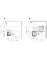 Activation <i>in vivo</i> of Innate Lymphoid Cells 2 (ILC2) by IL-33 (oxidation resistant) (human) (rec.) (untagged) (AG-40B-0160). <b>Method:</b> C57BL/6 mice were injected daily for 3 days with PBS (Figure A) or IL-33 (oxidation resistant) (human) (rec.