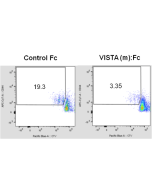 VISTA [B7-H5] (mouse):Fc (human) (rec.)