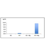 Mouse Caspase-1 is detected in cell culture supernatants by ELISA using Caspase-1 (mouse) Matched Pair Detection Set (Prod. No AG-46B-0003).<br /> <strong>Method:</strong> Caspase-1 (mouse) was measured by ELISA in supernatants of differentiated bone marr