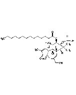 4&alpha;-Phorbol 12-myristate 13-acetate