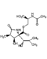 Lactacystin