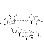 Aurodox