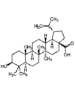 Betulinic acid (>97%)