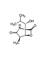 clasto-Lactacystin &beta;-lactone