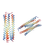 Dermcidin-1L (human) . TFA