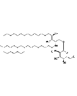 &alpha;-Galactosylceramide Analog I (water soluble) [KBC-007]