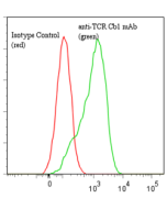 anti-TCR C&beta;1 (human), mAb (Jovi-1)