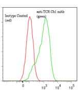 anti-TCR C&beta;1 (human), mAb (Jovi-1) (preservative free)