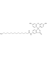 5-Hexadecanoylaminofluorescein