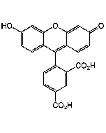 5-FAM