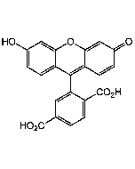 6-FAM