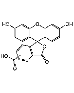 5(6)-FAM