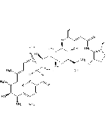 Bafilomycin B<sub>1</sub>