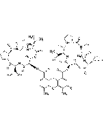 Actinomycin D