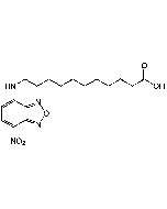 NBD-undecanoic acid