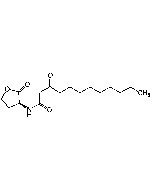 N-(3-Oxododecanoyl)-L-homoserine lactone