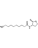 N-Decanoyl-DL-homoserine lactone