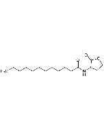 N-Dodecanoyl-DL-homoserine lactone