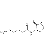 N-Hexanoyl-DL-homoserine lactone