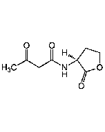 N-(3-Oxobutanoyl)-L-homoserine lactone