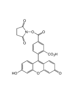 5-FAM N-succinimidyl ester