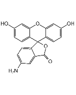 5-Aminofluorescein