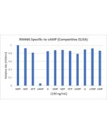 anti-cAMP, Rabbit Monoclonal (RM466)