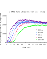 MDM2 E3 Ligase TR-FRET Kit