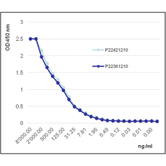 Angiopoietin-2 (human) (rec.) 