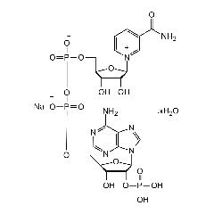 &beta;-Nicotinamide adenine dinucleotide phosphate