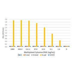 anti-5-Carboxylcytosine (5-caC), Rabbit Monoclonal (RM462)