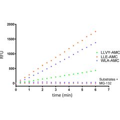 20S Immunoproteasome Activity Raw Data Output: Several wells of Immunoproteasome shown digesting LLVY, PAL, and ANW-AMC over time +/- 1x (40μM) inhibitor (ONX-0914).