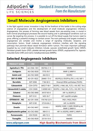 Angiogenesis Inhibitors