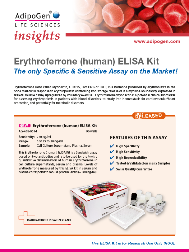 Erythroferrone (human) ELISA Kit Flyer