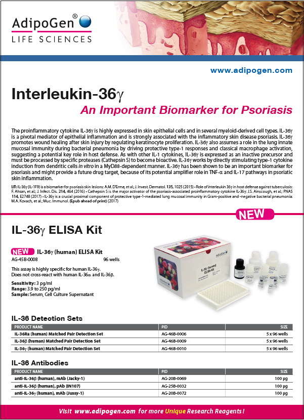 IL-36gamma Product Flyer