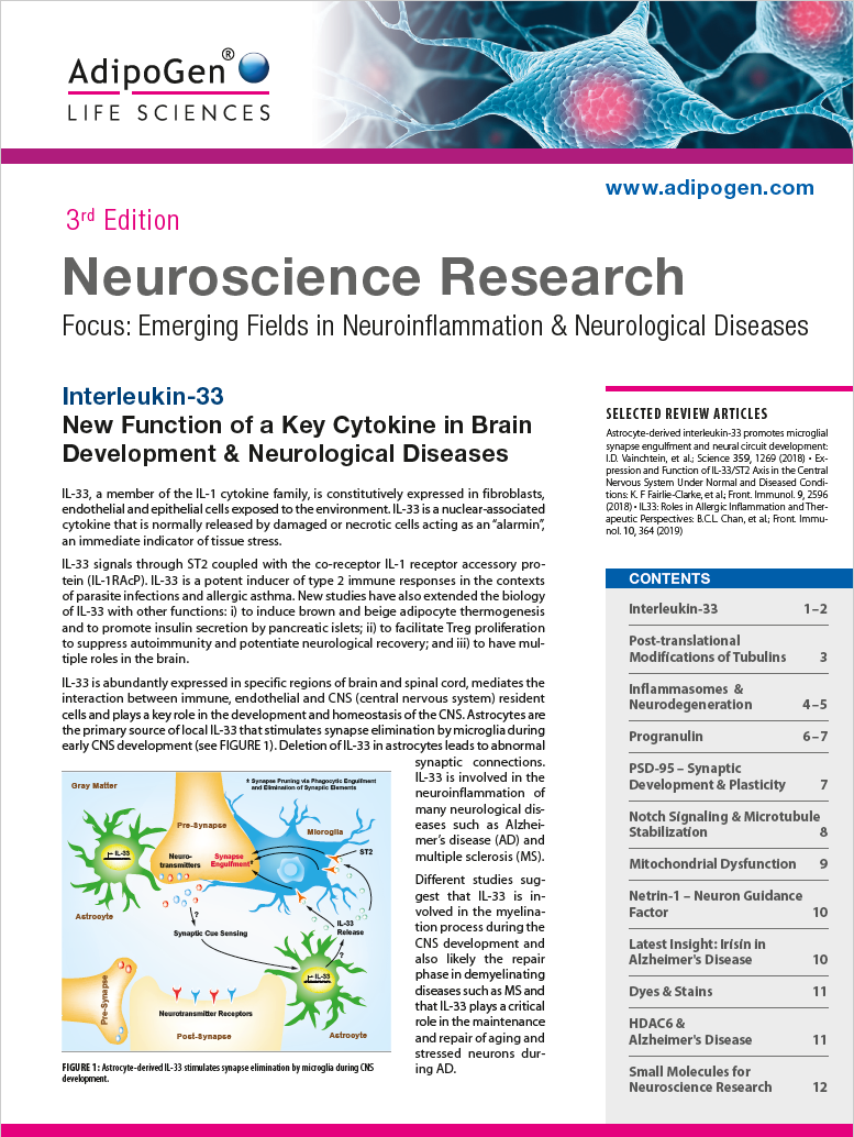 Neuroscience Research Brochure 2019