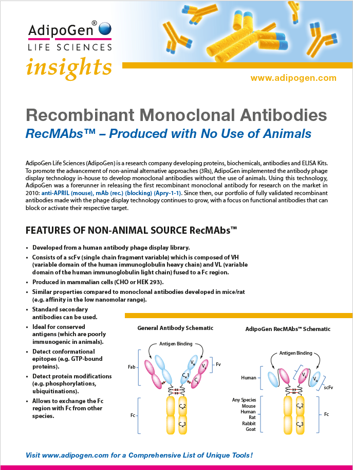 Recombinant Antibodies Insights 2019