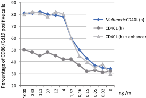 CD40L (human) (multimeric) (rec.)