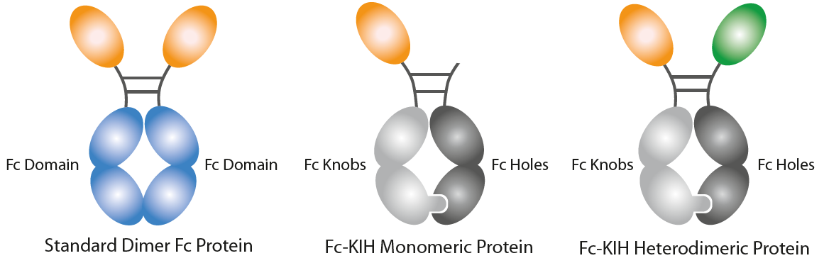 Schematic KIH Structures