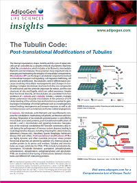 Tubulin and PTMs Insights 2020